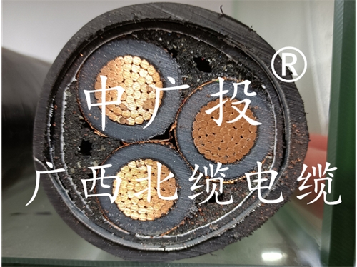 广西PG电子游戏电缆丨广西电缆厂丨广西电线电缆丨嘉峪关电缆厂家