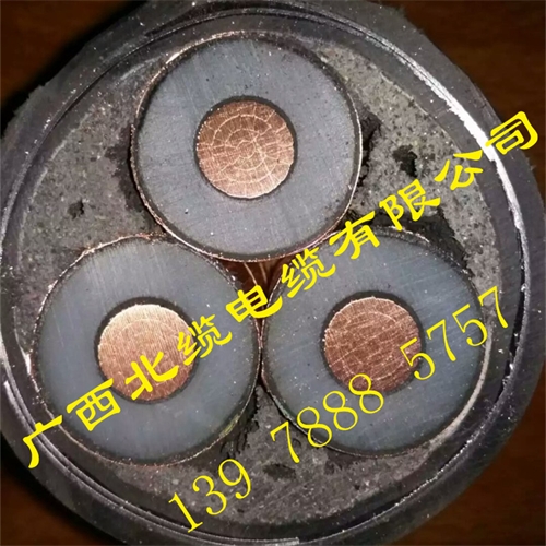 www.dxdl1688.com