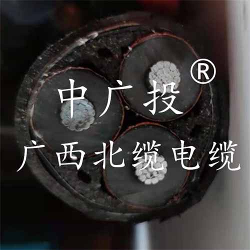thumb_202202131627156640 www.dxdl1688.com