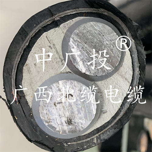 www.dxdl1688.com