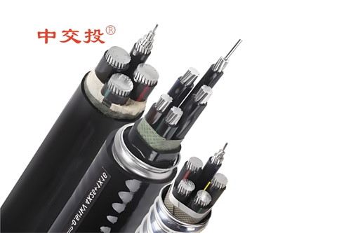 www.dxdl1688.com